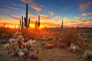 Sunset in the deserts of the Southwest